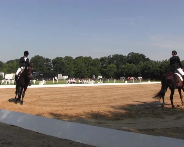 Euregioturnier Wietmarschen 2015