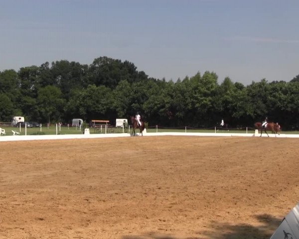 Euregioturnier Wietmarschen 2015