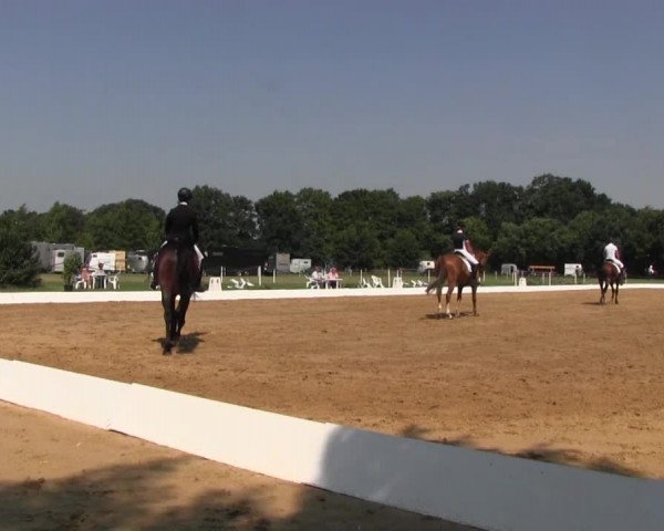 Euregioturnier Wietmarschen 2015