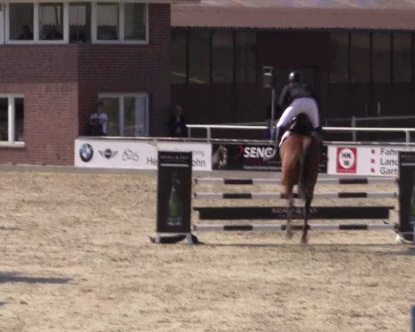 Euregioturnier Wietmarschen 2015