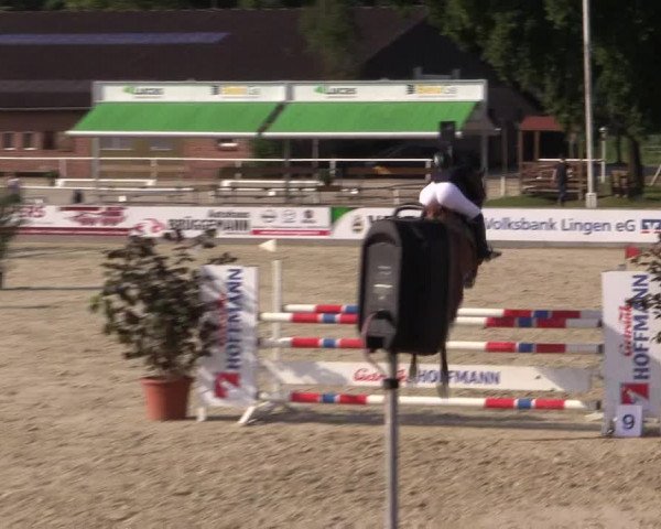 Euregioturnier Wietmarschen 2015
