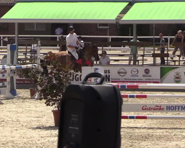Euregioturnier Wietmarschen 2015