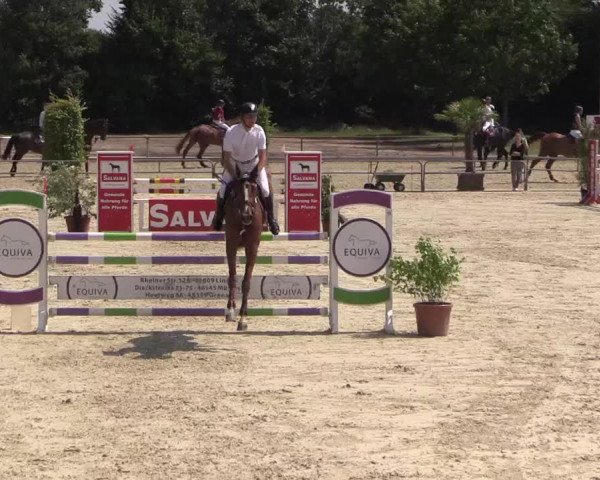 Euregioturnier Wietmarschen 2015