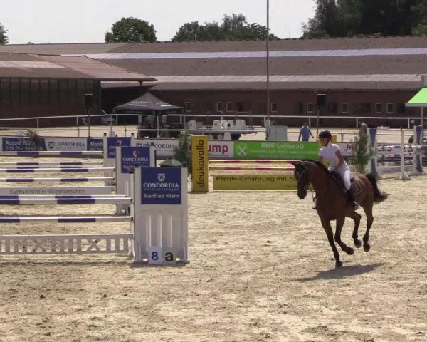 Euregioturnier Wietmarschen 2015