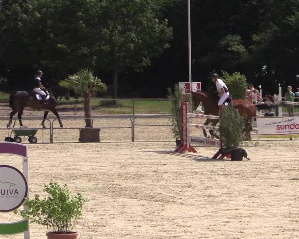 Euregioturnier Wietmarschen 2015