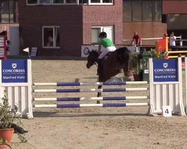 Euregioturnier Wietmarschen 2015