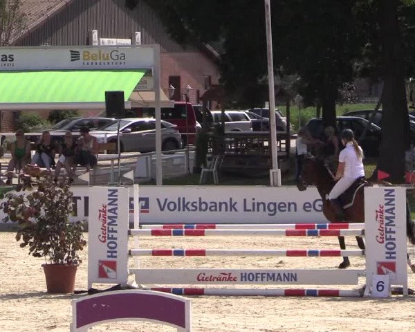 Euregioturnier Wietmarschen 2015