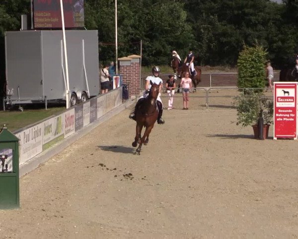 Euregioturnier Wietmarschen 2015