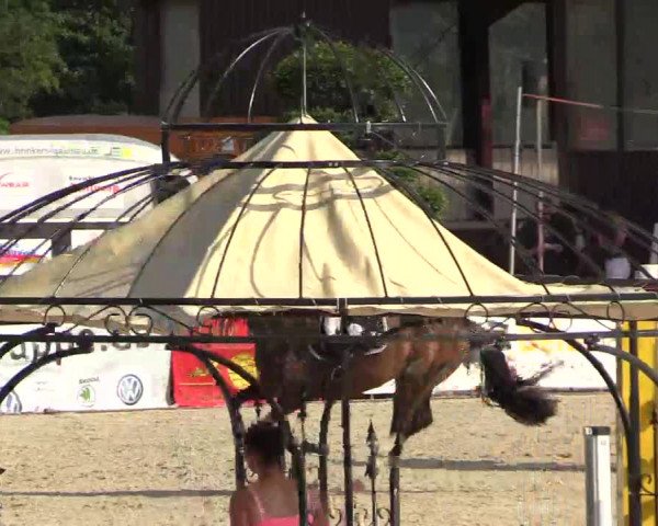 Euregioturnier Wietmarschen 2015