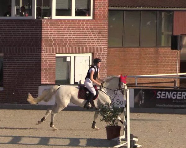 Euregioturnier Wietmarschen 2015