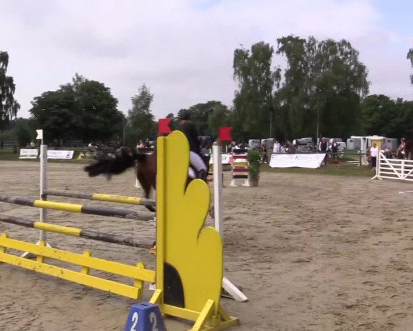 Reitturnier Herbern 2015