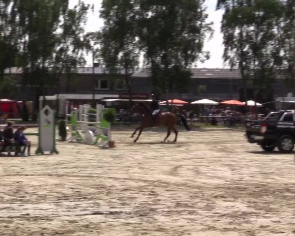 Reitturnier Herbern 2015