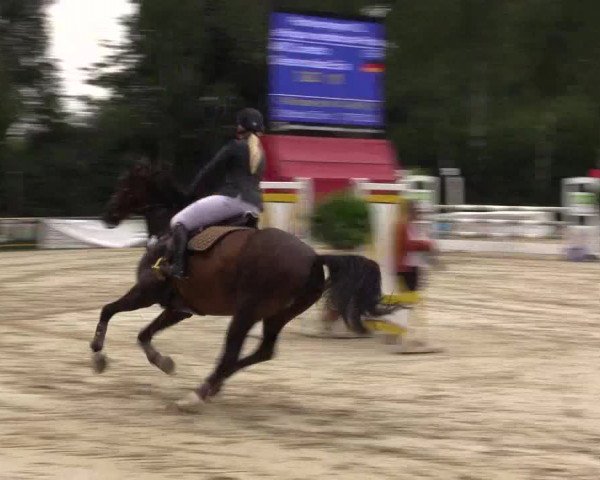 Reitturnier Herbern 2015