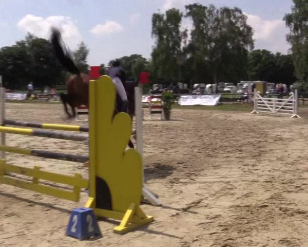 Reitturnier Herbern 2015