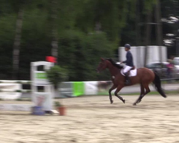 Reitturnier Herbern 2015