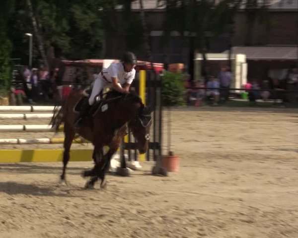 Reitturnier Herbern 2015