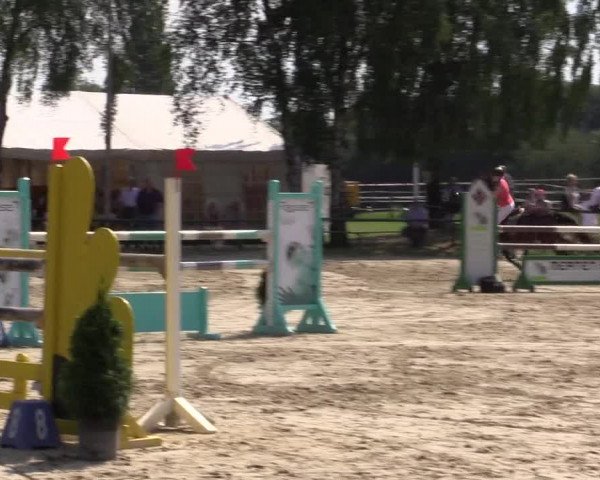 Reitturnier Herbern 2015