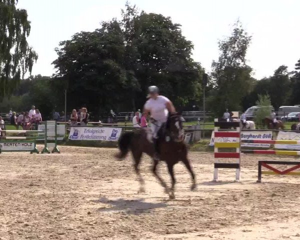 Reitturnier Herbern 2015