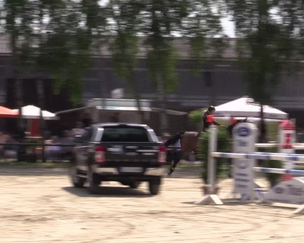 Reitturnier Herbern 2015