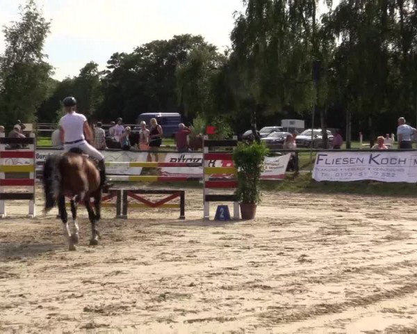 Reitturnier Herbern 2015