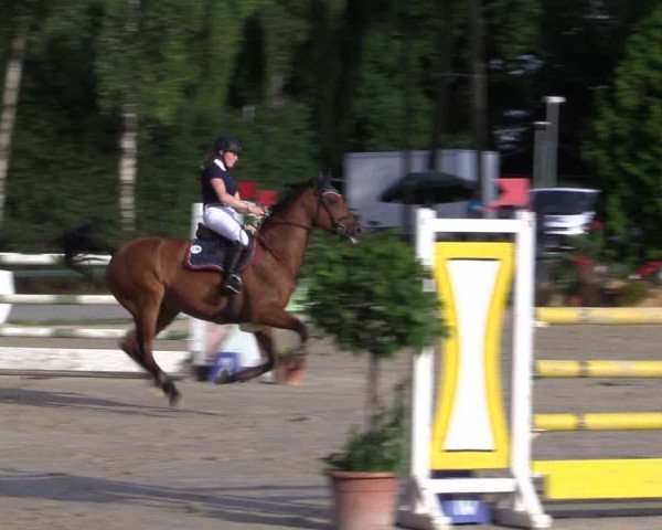 Reitturnier Herbern 2015