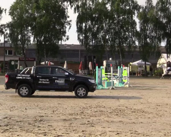 Reitturnier Herbern 2015