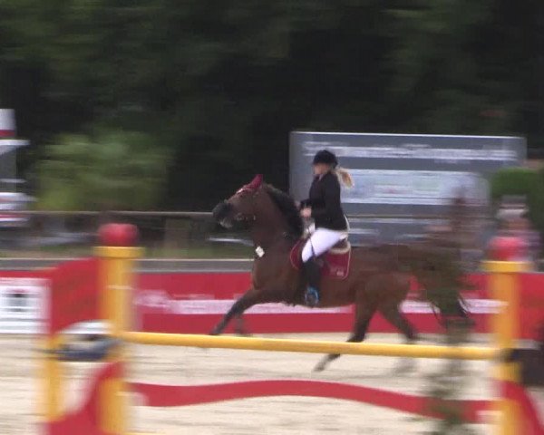 Euregioturnier Wietmarschen 2015