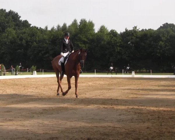 Euregioturnier Wietmarschen 2015