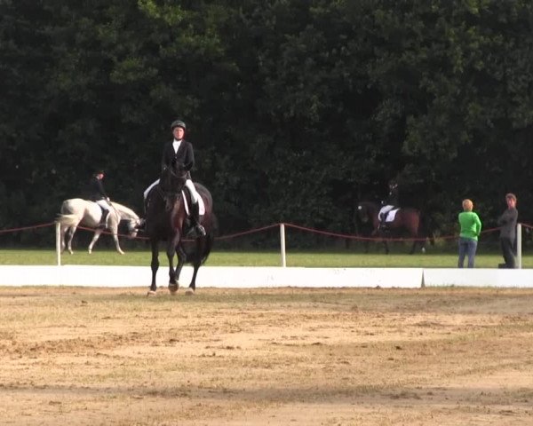 Euregioturnier Wietmarschen 2015