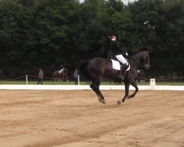 Euregioturnier Wietmarschen 2015