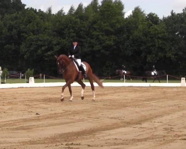 Euregioturnier Wietmarschen 2015