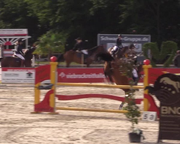 Euregioturnier Wietmarschen 2015