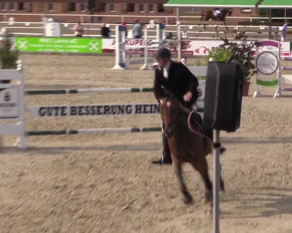 Euregioturnier Wietmarschen 2015