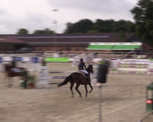 Euregioturnier Wietmarschen 2015