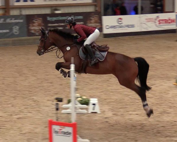 jumper Historia (Holsteiner, 2015, from Crunch 3)