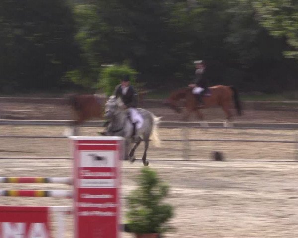 Euregioturnier Wietmarschen 2015