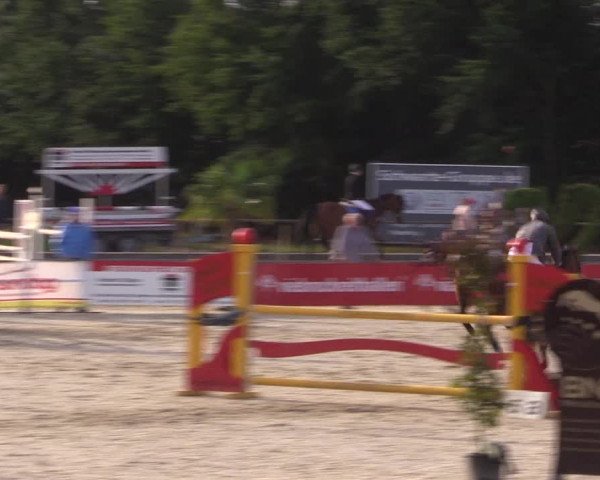 Euregioturnier Wietmarschen 2015