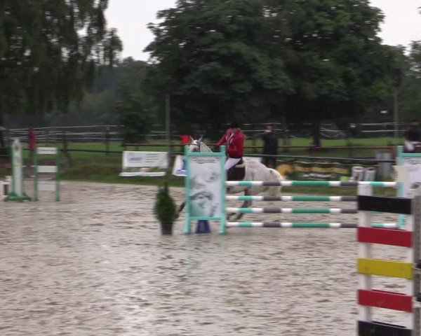 Reitturnier Herbern 2015