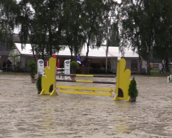 Reitturnier Herbern 2015