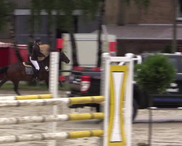 Reitturnier Herbern 2015