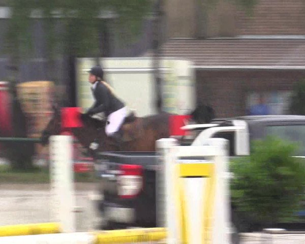 Reitturnier Herbern 2015