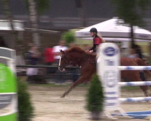 Reitturnier Herbern 2015