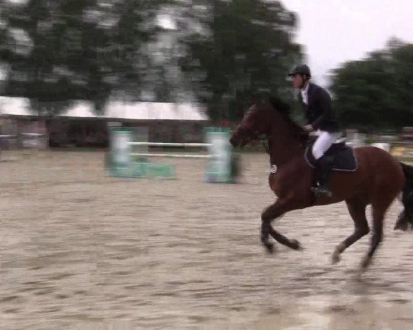 Reitturnier Herbern 2015