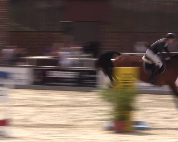 Euregioturnier Wietmarschen 2015