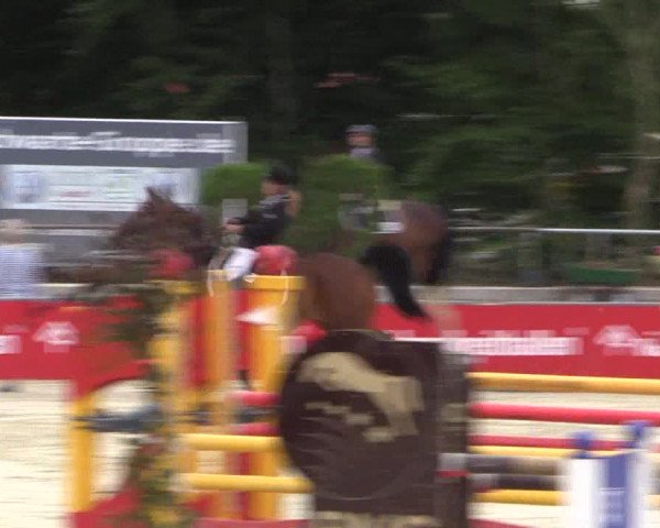 Euregioturnier Wietmarschen 2015