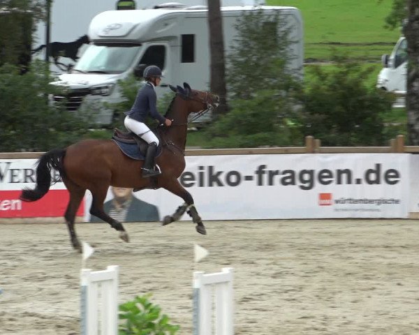 Reitturnier Westergellersen 2021