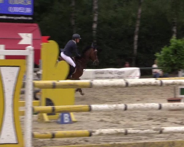 Reitturnier Herbern 2015