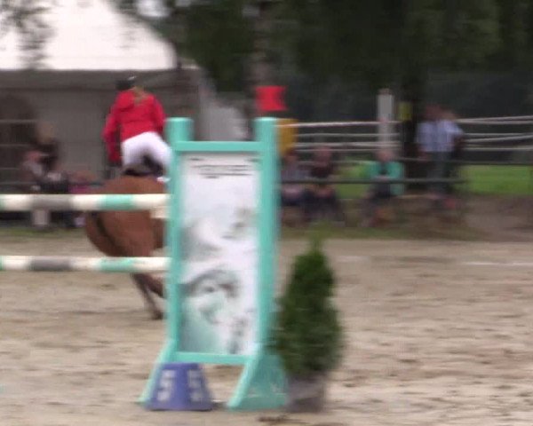 Reitturnier Herbern 2015