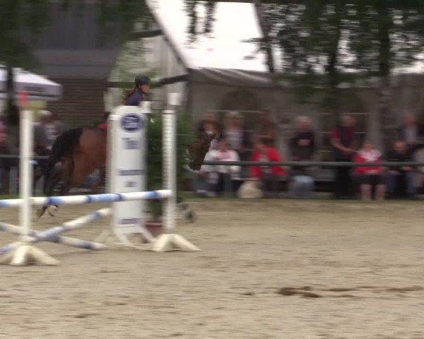Reitturnier Herbern 2015
