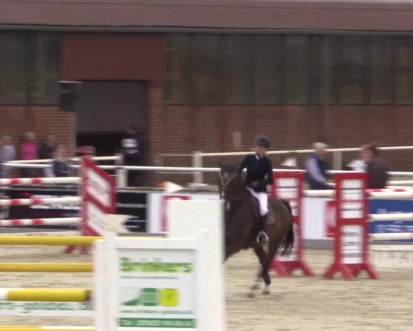 Euregioturnier Wietmarschen 2015